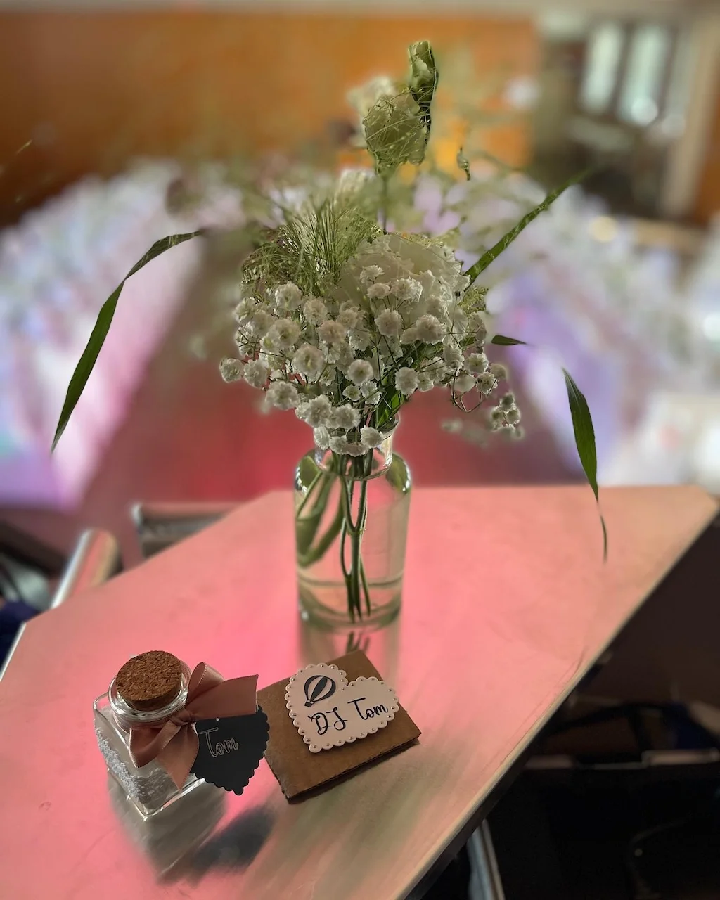 DJ Tomahawk auf der DJ-Party